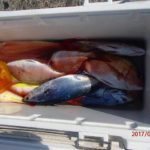 海の変化が気になった。