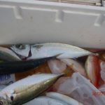 雨が続いて出船できなかった。