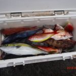 水温はまだまだ高い