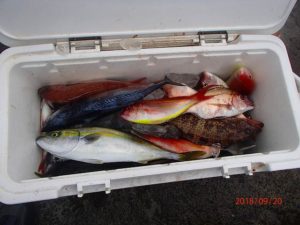 水温はまだまだ高い