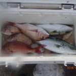 水温はまだ高い、潮の流れが一番