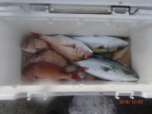 水温はまだ高い、潮の流れが一番