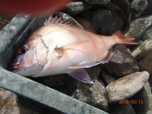 風のない日で、潮回りの良い日に当たらない