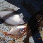 温かい潮も流れていた