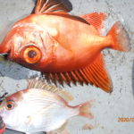 安定しない天候の影響あるか？