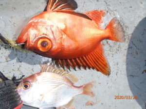 安定しない天候の影響あるか？