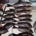 真鶴の遊漁船に乗って。