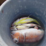 部屋の片付けでてんやわんや。