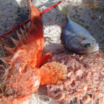 ボケ防止のために努力する。