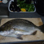 網代でボート釣り。