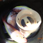 暑い一日だったが良く釣れた。