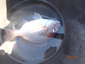 網代のボートつりポイント情報