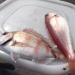 網代のボート釣り　